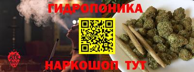 прущие крисы Кандалакша