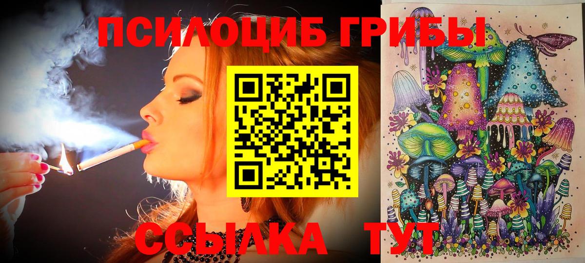 Будённовск  Псилоцибиновые грибы MAGIC MUSHROOMS  Вход с VPN 