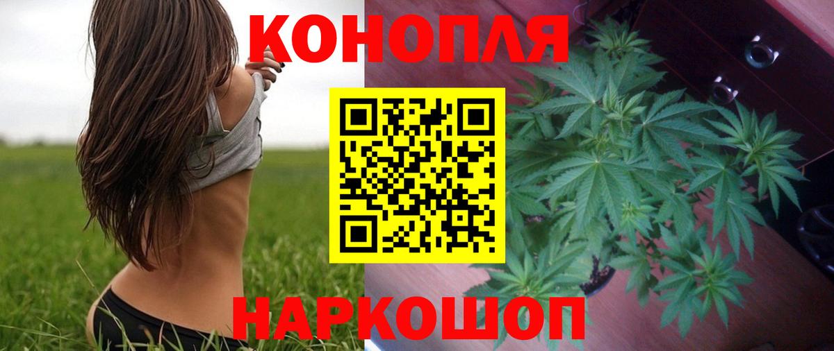 Будённовск  Каннабис тримм  Вход с VPN  Каннабис ГИДРОПОН 